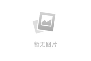 2025新澳门正版精准免费大全