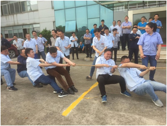 2025新澳门正版精准免费大全