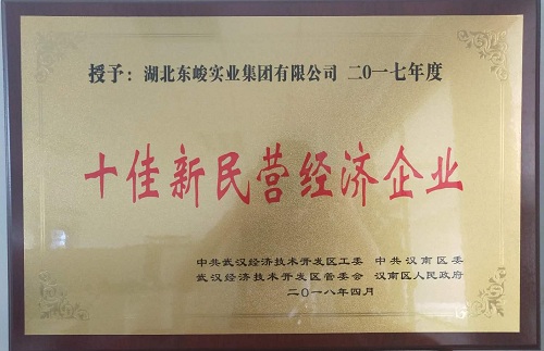 2025新澳门正版精准免费大全