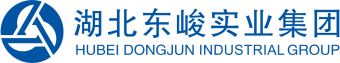 2025新澳门正版精准免费大全