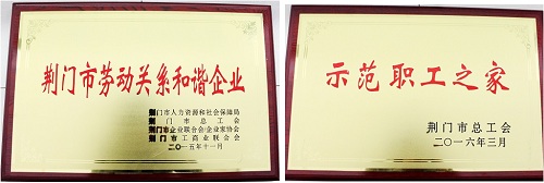 2025新澳门正版精准免费大全