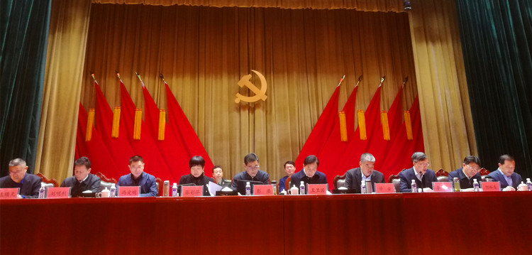 2025新澳门正版精准免费大全