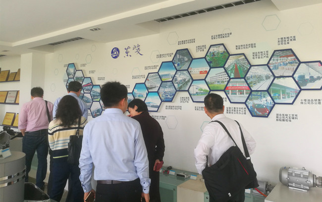 2025新澳门正版精准免费大全