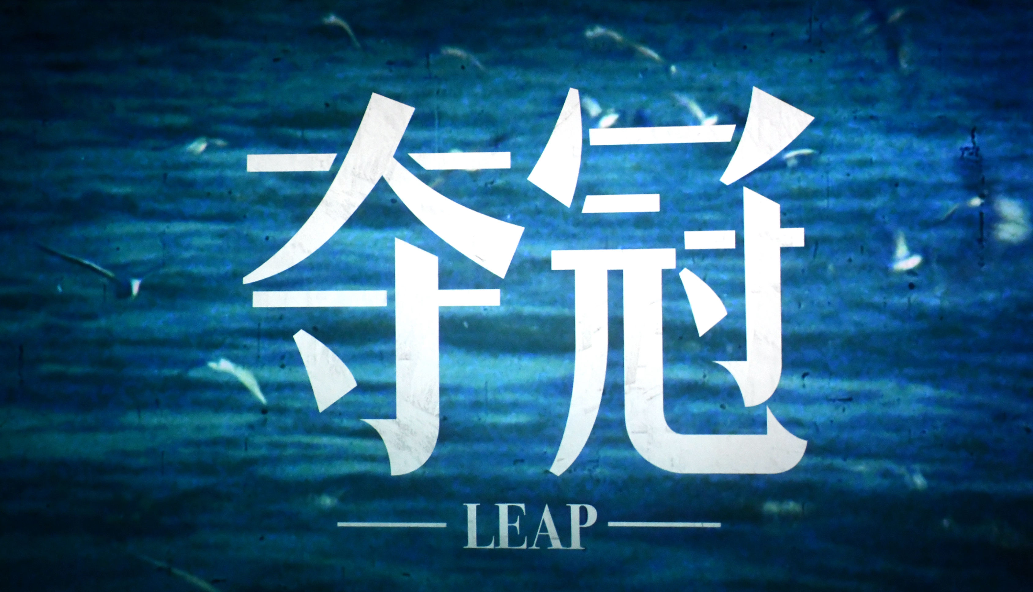 2025新澳门正版精准免费大全