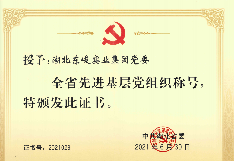 2025新澳门正版精准免费大全