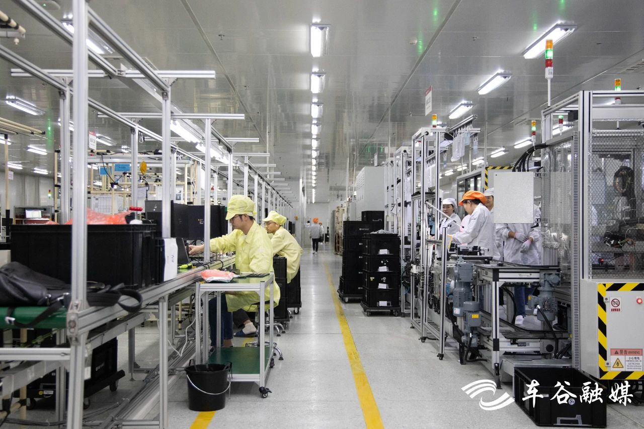 2025新澳门正版精准免费大全